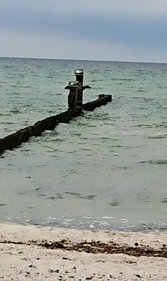 Ferienwohnung "Juliette" Zingst Kültér fotó