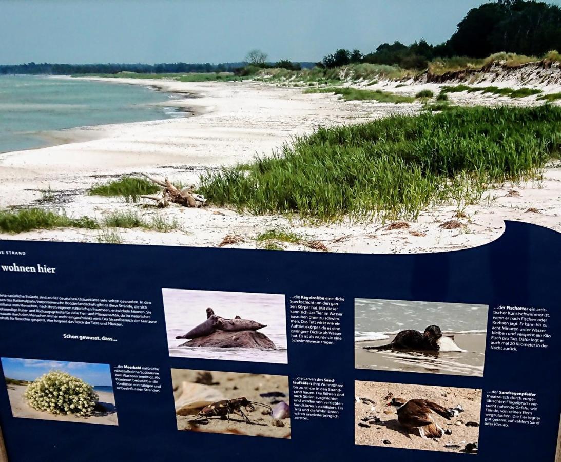 Ferienwohnung "Juliette" Zingst Kültér fotó